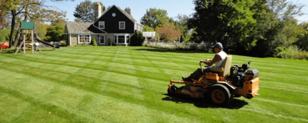 Landscaping Sydney Projects with Fast Free Quote Options